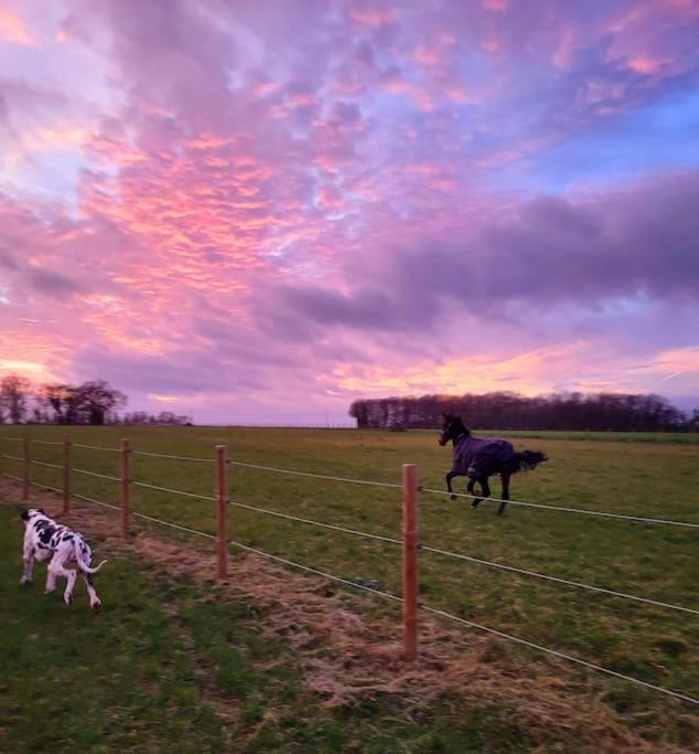 Gite Au Haras D'Agathe Et Ses Princes Les Barils 外观 照片