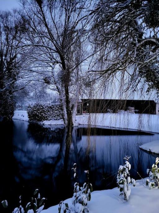 Gite Au Haras D'Agathe Et Ses Princes Les Barils 外观 照片