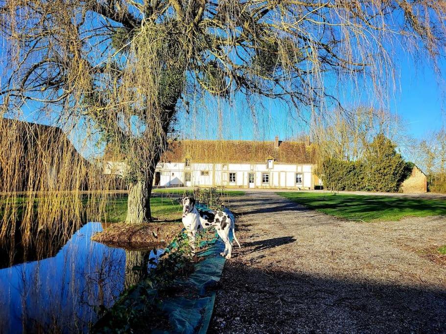 Gite Au Haras D'Agathe Et Ses Princes Les Barils 外观 照片