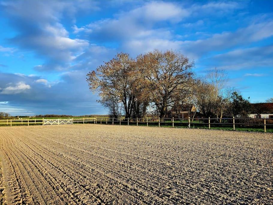 Gite Au Haras D'Agathe Et Ses Princes Les Barils 外观 照片
